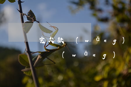 還完欠款網(wǎng)貸公司不消除逾期記錄(網(wǎng)貸還清無逾期,多久可以消除記錄)
