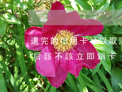 還完的信用卡可以取消卡嗎（信用卡逾期還款后該不該立即銷卡）
