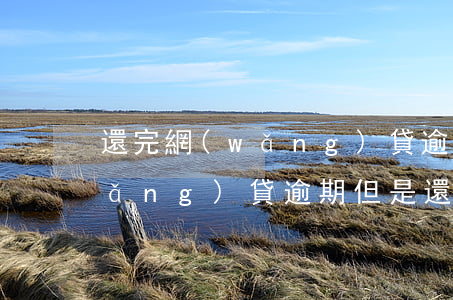 還完網(wǎng)貸逾期多久恢復(網(wǎng)貸逾期但是還清了)
