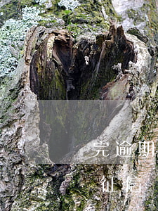 還完逾期信用卡 銷卡-逾期卡還完后注銷影響征信嗎