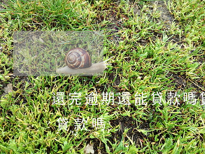 還完逾期還能貸款嗎(貸款逾期還完了還可以貸款嗎)
