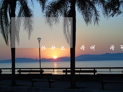 還怕什么離婚啊(離婚可不可怕)
