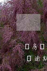 還房貸的時(shí)候信用卡逾期了 房貸沒逾期信用卡嚴(yán)重逾期