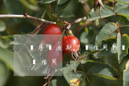 還房貸逾期了對信用影響(房貸逾期多久會影響信用)