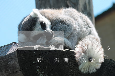 還房貸逾期報金融數(shù)據(jù)庫(房貸逾期報送金融數(shù)據(jù)庫怎么處理)