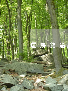 還房貸逾期證明怎么開（還房貸逾期證明）