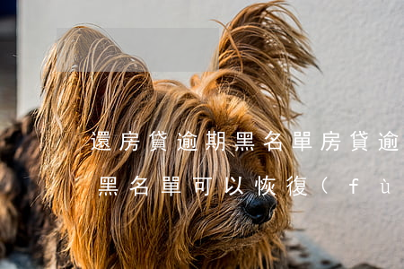 還房貸逾期黑名單(房貸逾期黑名單房子賣了黑名單可以恢復(fù)嗎)