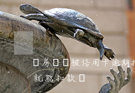 還房貸錢被信用卡逾期扣了(房貸逾期錢交上就能扣款嗎)