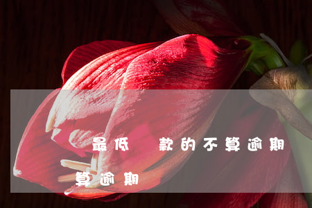 還最低還款的不算逾期嗎(還款低于最低還款算逾期嗎)