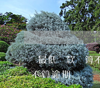 還最低還款額算不算逾期(最低還款額還了算不算逾期)