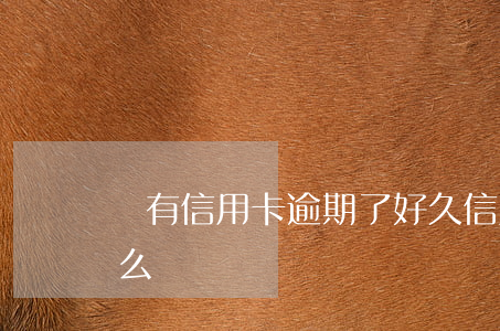 還有信用卡逾期了好久(信用卡逾期幾年了怎么還)