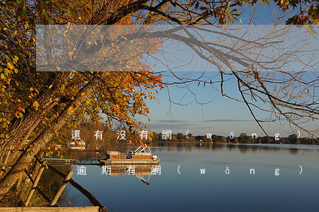 還有沒有網(wǎng)貸逾期可以借的（沒逾期有網(wǎng)貸可借款）