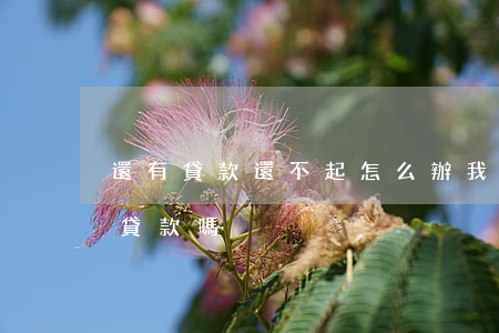 還有貸款還不起怎么辦 我有貸款沒還完還能貸款嗎