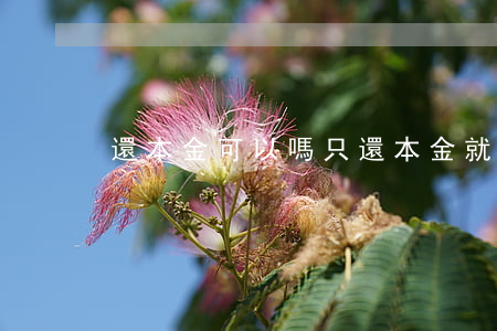 還本金可以嗎（只還本金就可以銷卡）