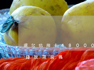 還欠信用卡48000(還欠信用卡30萬能貸款買房嗎)