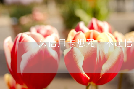 還欠信用卡想死(還不起信用卡想死)