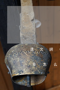 還欠網(wǎng)貸一萬(wàn)八千多怎么辦(欠一萬(wàn)多網(wǎng)貸,怎么還)