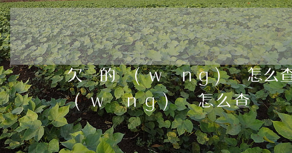 還欠誰的網(wǎng)貸怎么查(還欠誰的網(wǎng)貸怎么查)
