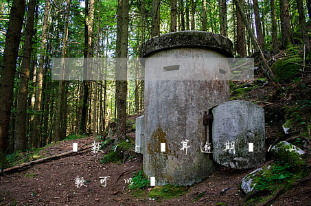 還款15號算逾期嗎(12號還款日15號還款可以嗎)