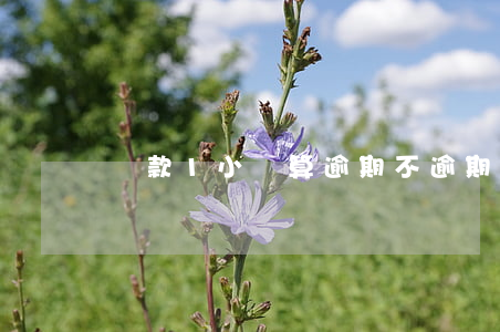 還款1小時算逾期不(逾期還款1天)