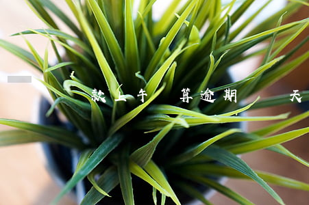 還款上午還算逾期嗎(當天還款算不算逾期)