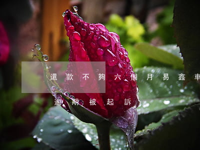 還款不夠六個月易鑫車貸要起訴我（易鑫車貸逾期被起訴）