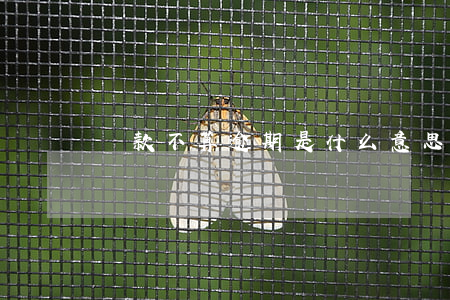 還款不算逾期是什么意思(逾期還款什么意思?)