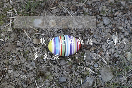 還款了逾期能修復(fù)嗎(逾期還完之后多久恢復(fù))