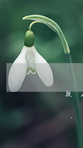 還款人失蹤可以家里人代替協(xié)商嗎-貸款人失蹤家人怎么還