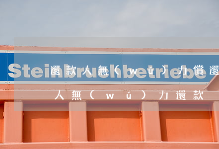 還款人無(wú)力償還債務(wù)(借款人無(wú)力還款)