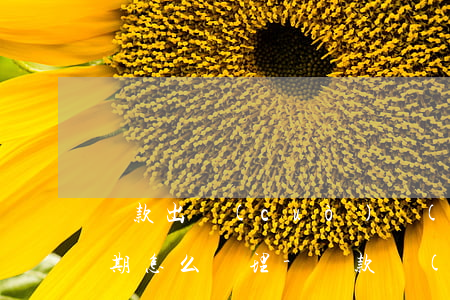 還款出錯(cuò)導(dǎo)致分期逾期怎么處理-還款錯(cuò)誤可以退回嗎