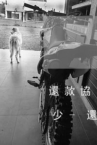還款協(xié)議中分期付款逾期利息多少-還款協(xié)議中分期付款逾期利息多少合法