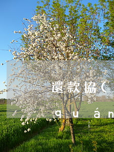 還款協(xié)議可以約定法院管轄權(quán)嗎(在法院強(qiáng)制執(zhí)行簽還款協(xié)議)