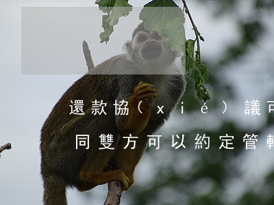 還款協(xié)議可以約定管轄法院嗎(合同雙方可以約定管轄法院)