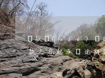 還款協(xié)議逾期還款責任(自逾期還款之日起承擔逾期還款違約責任的)