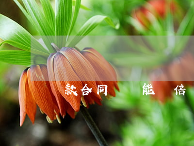 還款合同違約能雙倍賠償嗎