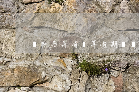 還款后再消費算逾期嗎(還款逾期幾年能消)