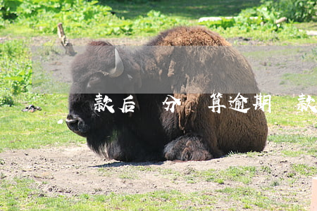 還款后幾分鐘算逾期(還款晚了幾分鐘算逾期嗎)