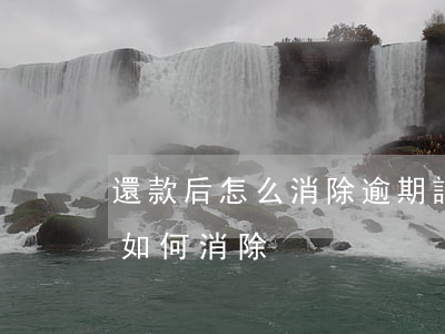 還款后怎么消除逾期記錄(貸款還款逾期記錄如何消除)