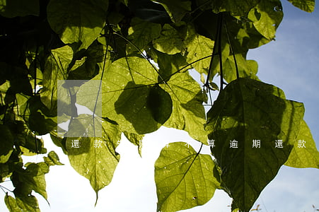 還款失敗算不算逾期(還款失敗幾天可以退回)