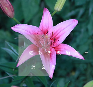 還款失敗逾期一天怎么辦(如果還款逾期一天怎么辦)
