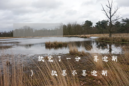 還款完了一分鐘算逾期嗎(一天之內(nèi)還款算不算逾期)