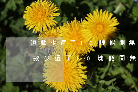 還款少還了10塊能開無惡意逾期證明-還款少還了10塊能開無惡意逾期證明嗎