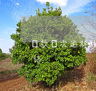 還款幾次逾期影響征信(還款幾次逾期影響征信)