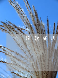 還款成功為什么小芽貸顯示逾期-