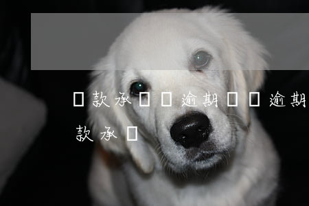 還款承諾書逾期訴訟(逾期還款情況說明和還款承諾)
