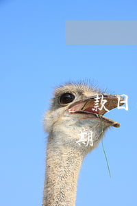 還款日之后還款會逾期嗎(過了還款日就算逾期嗎)