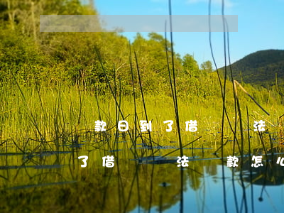 還款日到了借唄無法還款怎么辦-還款日到了借唄無法還款怎么辦呢
