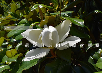 還款日后兩天算逾期嗎(還款日逾期幾天)