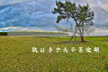 還款日多少天不算逾期(還款日沒還款算逾期嗎)